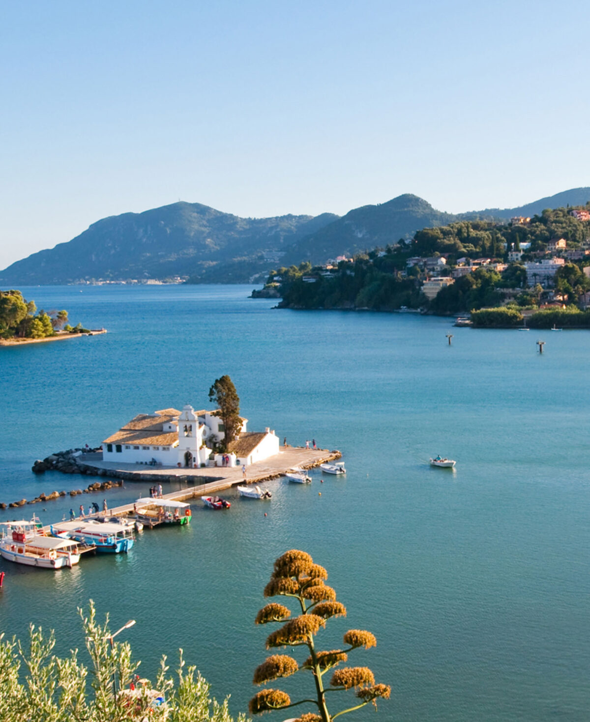 Dimitra rent and transfer corfu pontikonisi picture